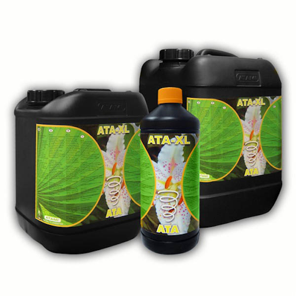 Ata-XL-1-lt-Atami-Bcuzz.jpg Ata XL Atami B'cuzz - immagine 1