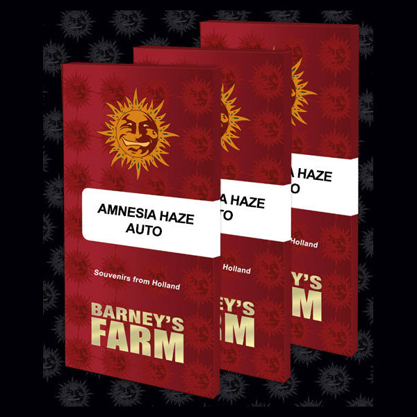 Auto-Amnesia-Haze-1-u-fem-Barneys.jpg Auto Amnesia Haze fem. Barney's - immagine 1