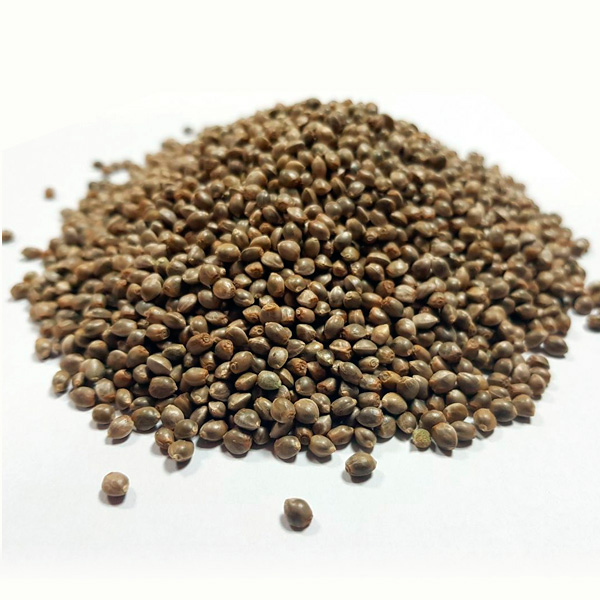 Auto-Amnesia-Kush-Granel-100-ud.jpg Auto Amnesia Kush alla rinfusa, 100 u. - immagine 1