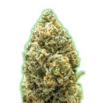 Auto Bruce Banner 3 donne Monster Genetics