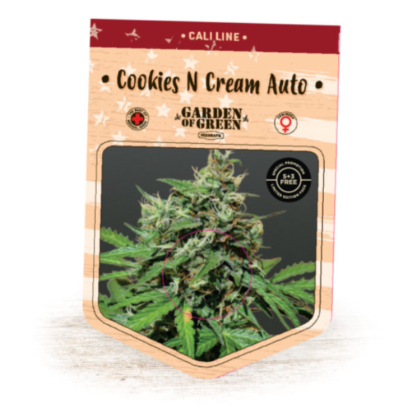Auto-Cookies-N-Cream-1-u-fem-Garden-of-Green-Seeds.jpg Auto Cookies N Cream 1 femmina Garden of Green Seeds - immagine 1