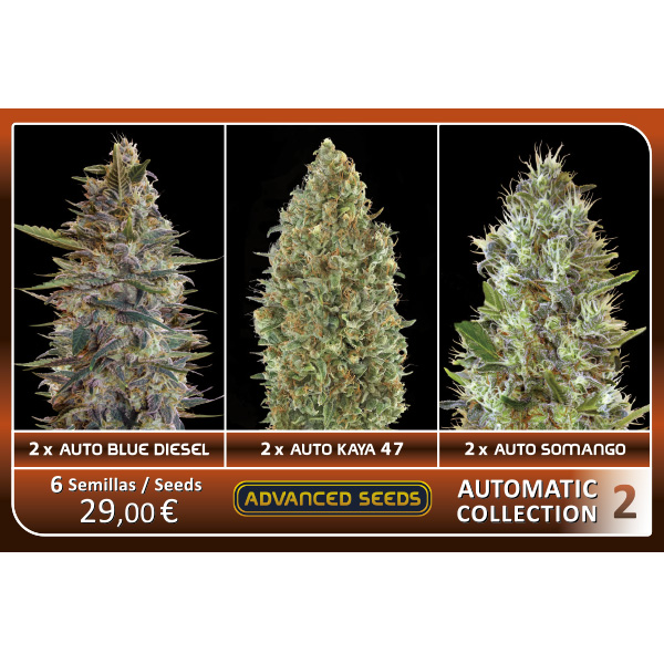 Automatic-Collection-2-Advanced-Seeds.jpg Automatic Collection #2 - Advanced Seeds - immagine 1
