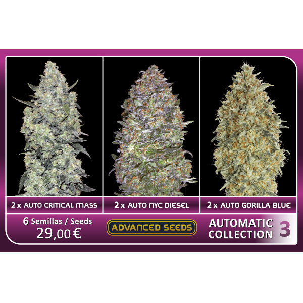 Automatic-Collection-3-Advanced-Seeds.jpg Automatic Collection #3 - Advanced Seeds - immagine 1