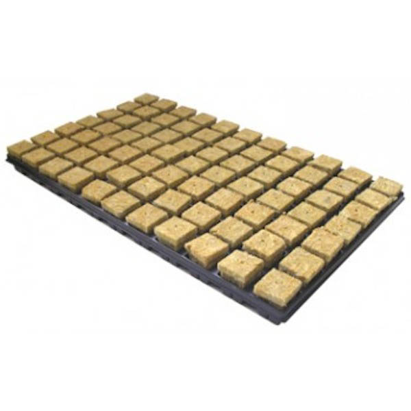 Bandeja-Lana-Roca-25-x-25-x-40-mm-150-Alveolos.jpg Vassoio Lana Roca 25 x 25 x 40 mm. 150 alveoli - immagine 1