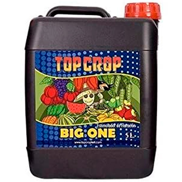 Big-One-5-lt-Top-Crop.jpg Big One Top Crop - immagine 1