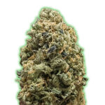 Bruce Banner 3 donne Monster Genetics