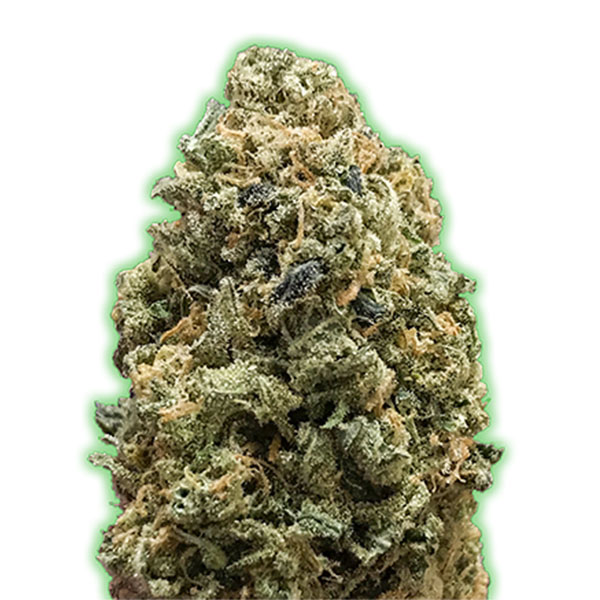 Bruce-Banner-3-u-fem-Monster-Genetics.jpg Bruce Banner 3 donne Monster Genetics - immagine 1