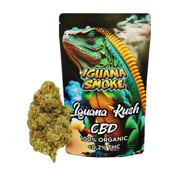 Caamo-Cbd-Iguana-Smoke-Iguana-Kush-3-gr.jpg Canapa CBD Iguana Smoke Iguana Kush - immagine 1