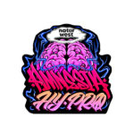 Canapa Cbd Naturwest Indoor Amnesia Hy Pro 2 g