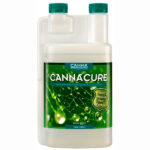Canna Cure Canna