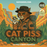 Cat Piss Canyon fem Elev8 Seeds