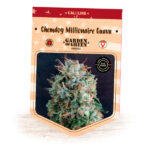 Chemdog Millionaire Guava 1 femmina Garden of Green Seeds