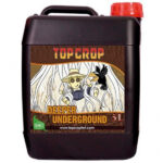 Deeper Underground Top Crop