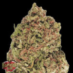 Dream Machine 3 donne Heavyweight Seeds
