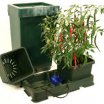 Easy2grow XL 2 - Serbatoio da 47 lt. Verde Autopot 48/72 ore.