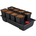 Sistema idroponico Wilma V2 Small Wide 8 x 11 lt