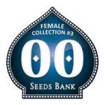 Collezione Donna 3 - 00 Seeds