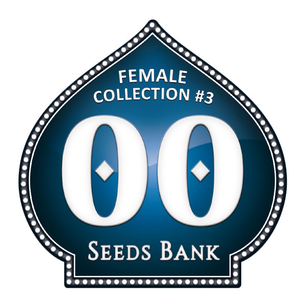 Female-Collection-3-00-Seeds.jpg Collezione Donna 3 - 00 Seeds - immagine 1