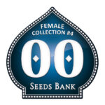 Collezione Donna 4 - 00 Seeds