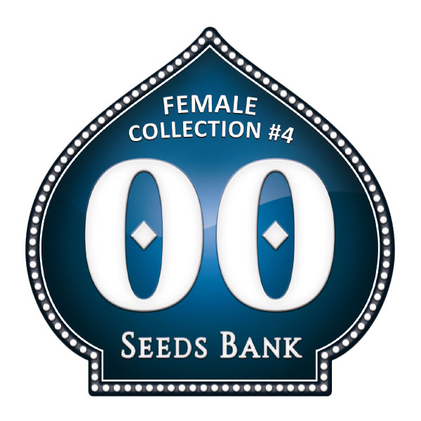 Female-Collection-4-00-Seeds.jpg Collezione Donna 4 - 00 Seeds - immagine 1