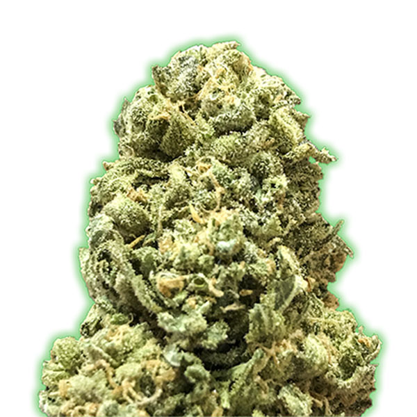 Girl-Scout-Cookies-3-u-fem-Monster-Genetics.jpg Girl Scout Cookies 3 donne Monster Genetics - immagine 1