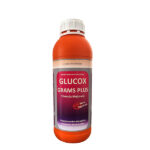 Glucox Grams Plus
