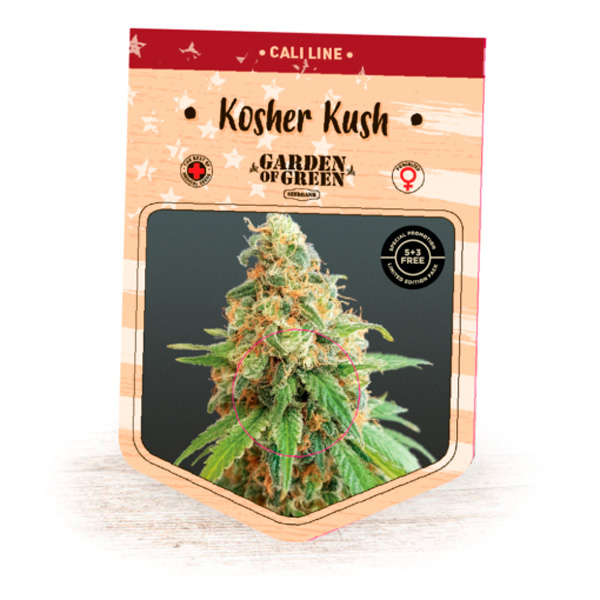 Kosher-Kush-1-u-fem-Garden-of-Green-Seeds.jpg Kosher Kush 1 femmina Garden of Green Seeds - immagine 1