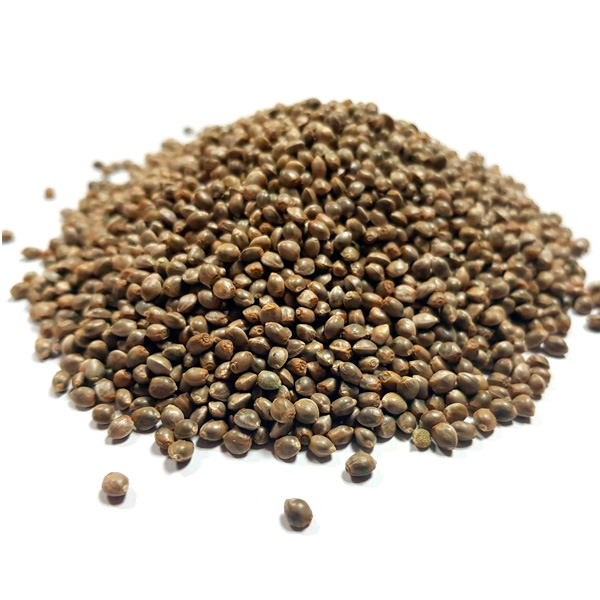 Lemon-Skunk-Fast-Granel-100-ud.jpg Lemon Skunk Fast All'ingrosso, 100 u. - immagine 1