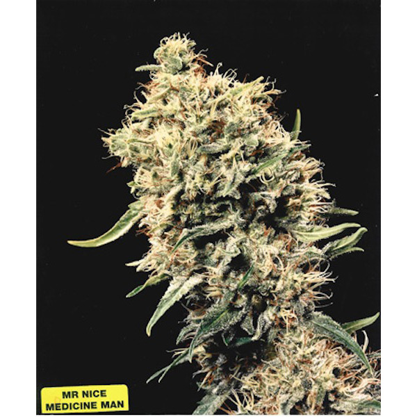 Medicine-Man-15-u-reg-Mr-Nice.jpg Medicine Man 15 u reg. Mr. Nice - immagine 1