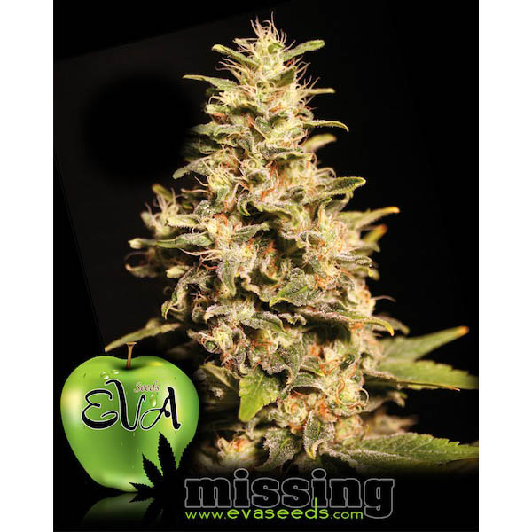 Missing-in-Barcelona-31-u-fem-Eva-Seeds.jpg Scomparsa a Barcellona 3+1 donna Eva Seeds - immagine 1