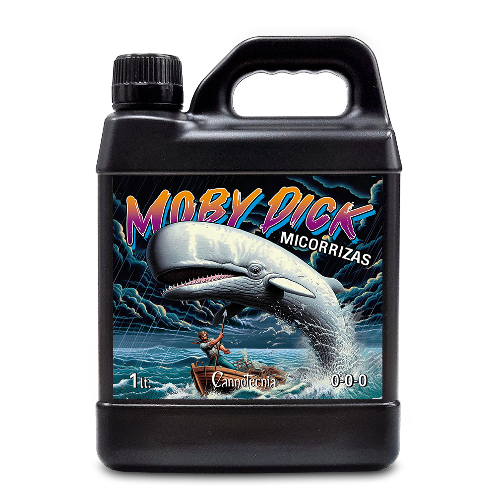 Moby-Dick-1-lt-Cannotecnia.jpg Moby Dick Cannotecnia - immagine 1