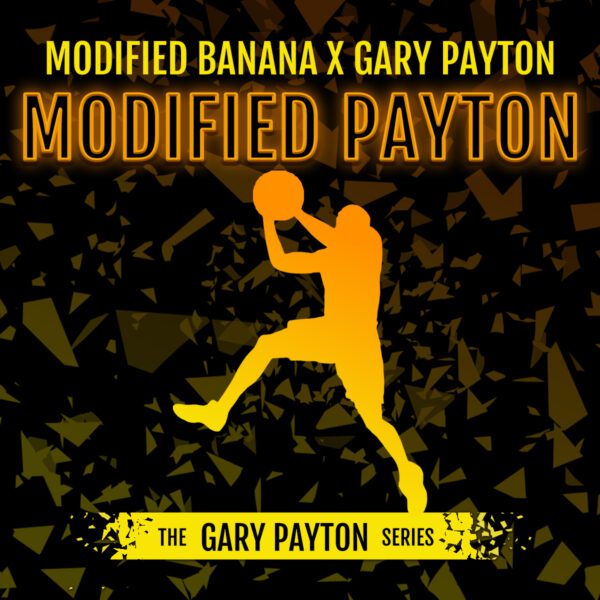 Modified-Payton-3-ud-fem-Elev8-Seeds.jpg Modified Payton fem Elev8 Seeds - immagine 1