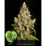 Monster 3+1 u fem. Eva Seeds
