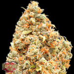Monster Profit 3 donne Heavyweight Seeds