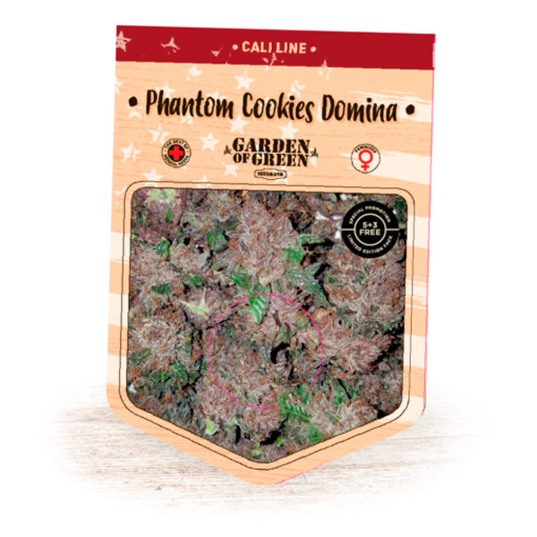Phantom-Cookie-Domina-1-u-fem-Garden-of-Green-Seeds.jpg Phantom Cookie Domina 1 femmina Garden of Green Seeds - immagine 1