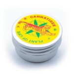 Plant of Life Balsamo Cannatiger CBD 0,5 % 30 ml