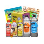 Starter Box Coco Hesi