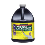 Super Thrive
