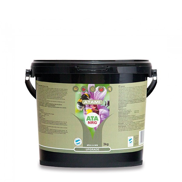 Upgrade-3-Kg-Atami-Bcuzz.jpg Aggiornamento Atami B'cuzz - immagine 1