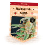 Wedding Cake 1 femmina Garden of Green Seeds