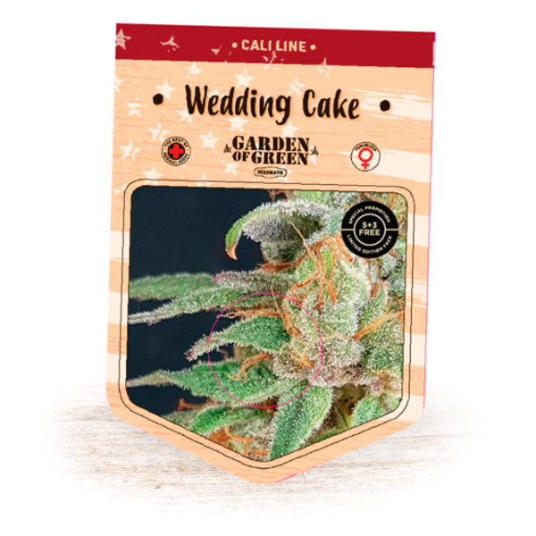 Wedding-Cake-1-u-fem-Garden-of-Green-Seeds.jpg Wedding Cake 1 femmina Garden of Green Seeds - immagine 1