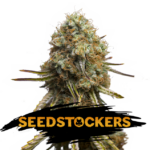 Wedding Glue f. Seedstockers