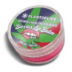 Plant of Life Balsamo CBD Frutti di bosco 1% CBD 0,5% CBG 3 g. - immagine 2