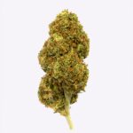 Canapa Cbd Gorilla Grillz Outdoor Strawberry - immagine 2