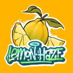 Canapa Cbd Gorilla Grillz Outdoor Lemon Haze - immagine 3