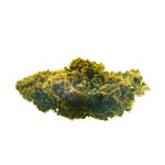 CBD Bee Amnesia - immagine 2