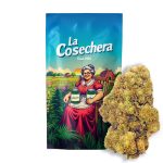 Canapa CBD La Cosechera Mimosa