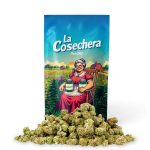 CBD Canapa La Cosechera Small Buds Fruit Lover