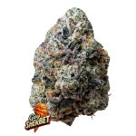 Gary Sherbet (femmina) FastBuds Seeds