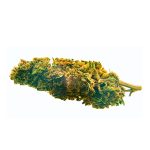 CBD Bee Blueberry - immagine 2